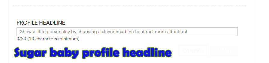 sugar baby profile headline